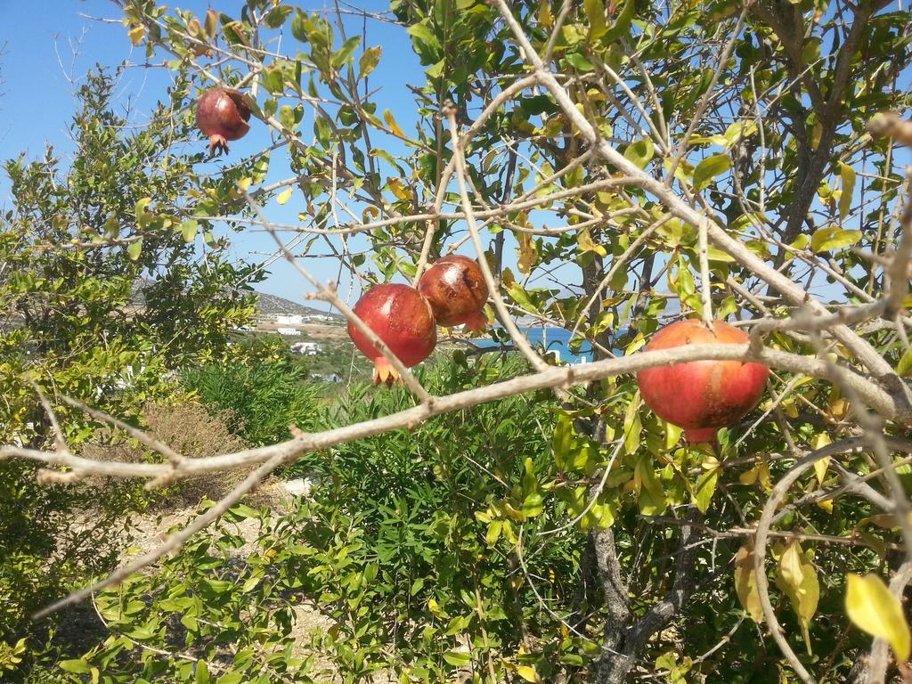 Villa Peristeri Agios Georgios  Buitenkant foto